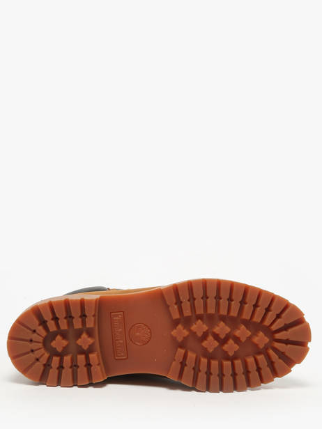 Enkellaarzen Uit Leder Timberland Bruin men 2066EBL1 ander zicht 4